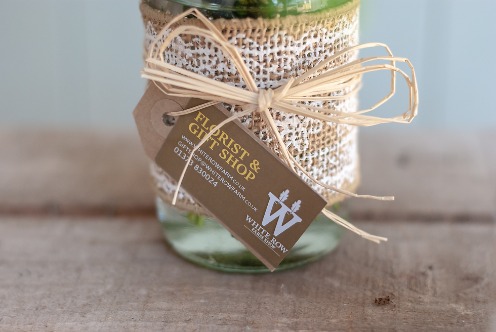 Thumbnail: Juniper Jam Jars