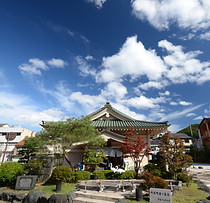 菊の湯.JPG