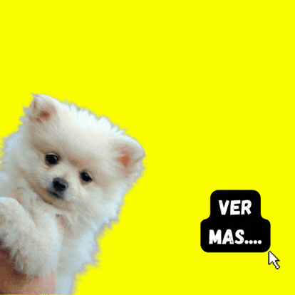 Razas miniatura (6).gif