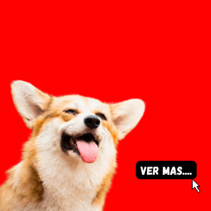 Razas miniatura (5).gif