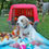 Miniatura: Beagle Bicolor en Venta | Juguetón, Fiel y Muy Familiar | Envío Gratis + Garantí