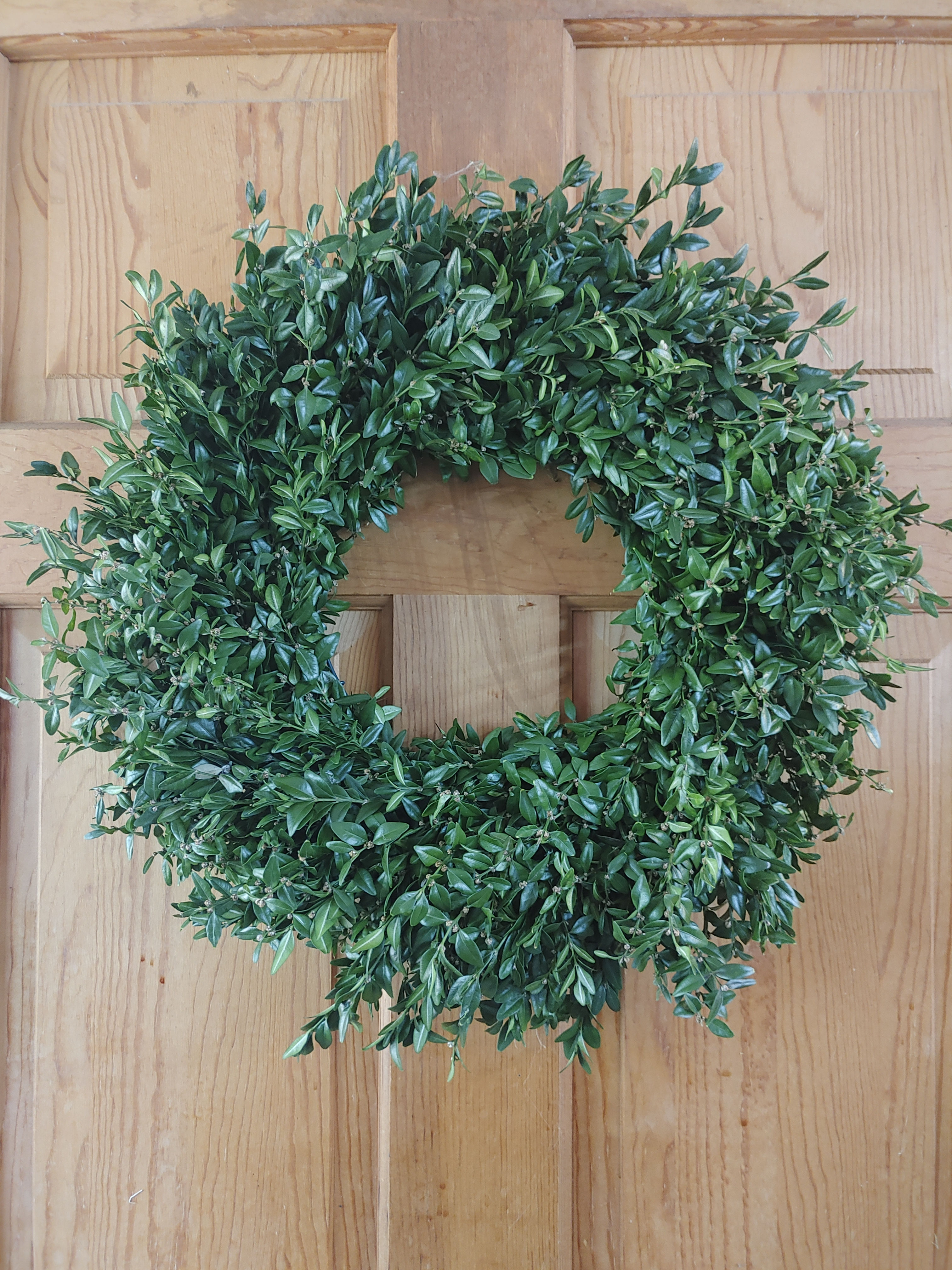 Boxwood wreath