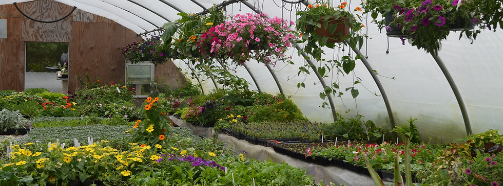 HartmansGreenhouse3.JPG