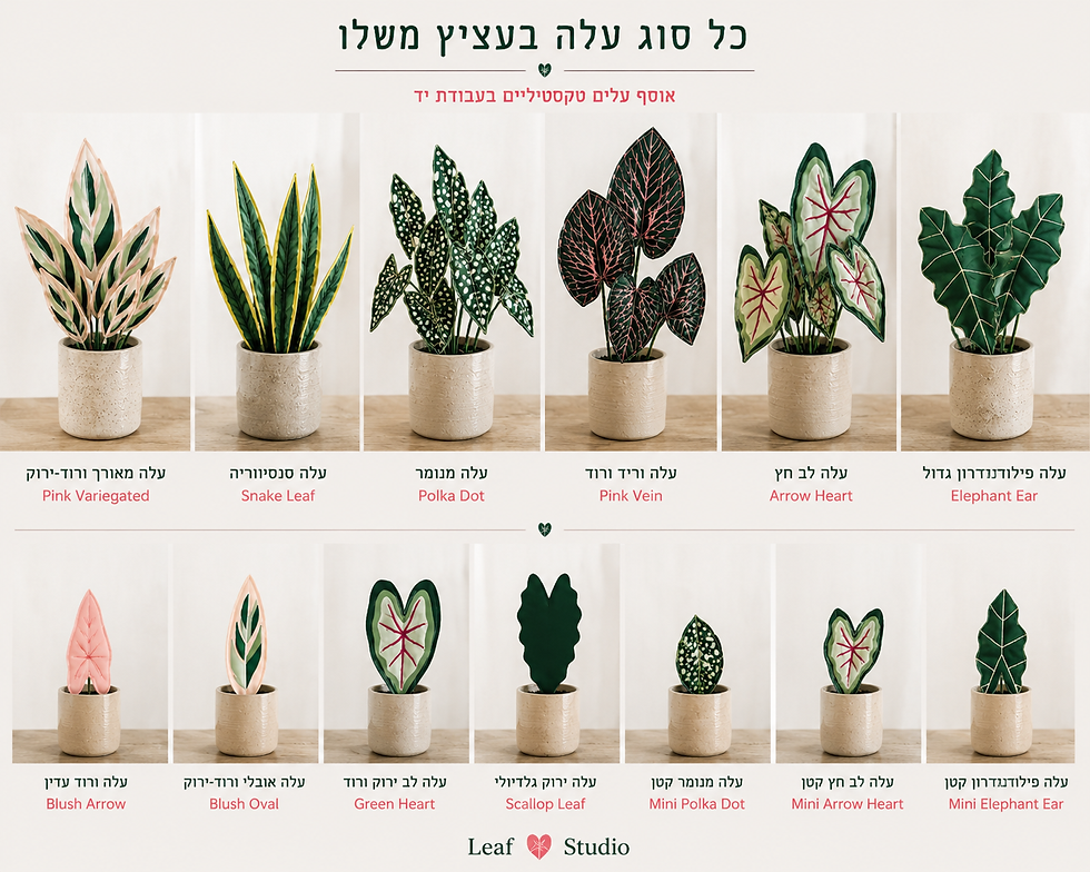 עציצים בעבודת יד.png