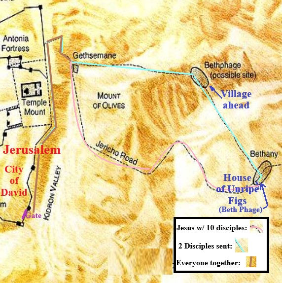 Mark 11111 Understanding Bethphage, a donkey colt, and palm branches