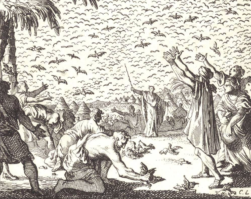 Psalm 78:23-29 - Receiving the manna and quail from heaven