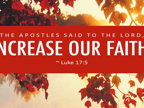 Luke 17:5-10 - Having faith the size of a mustard seed means servitude to the Lord