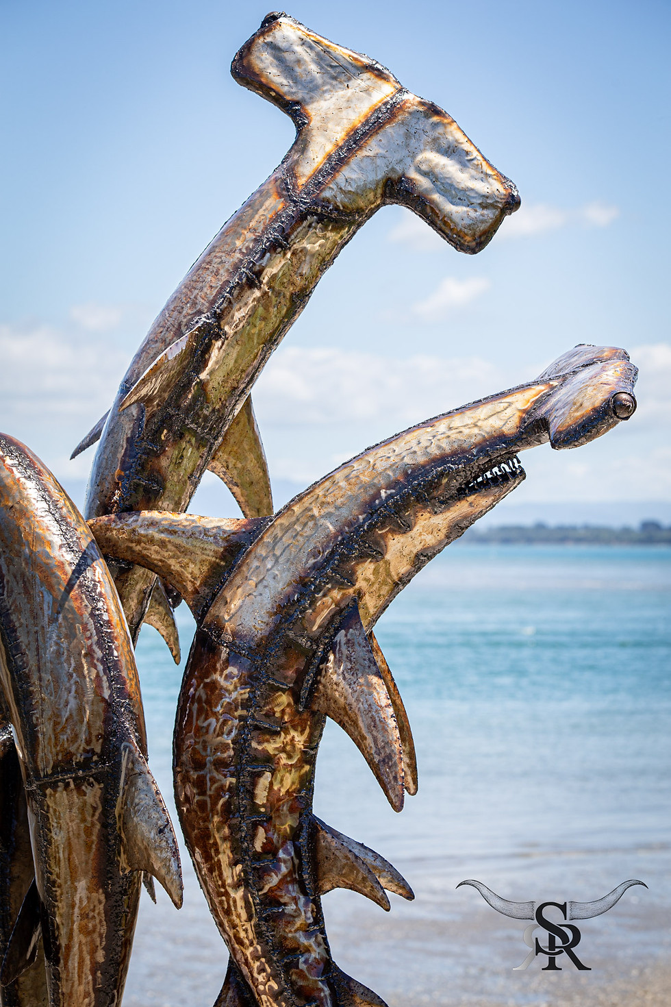 Thumbnail: HAMMERHEAD / DOLPHIN FEATURE