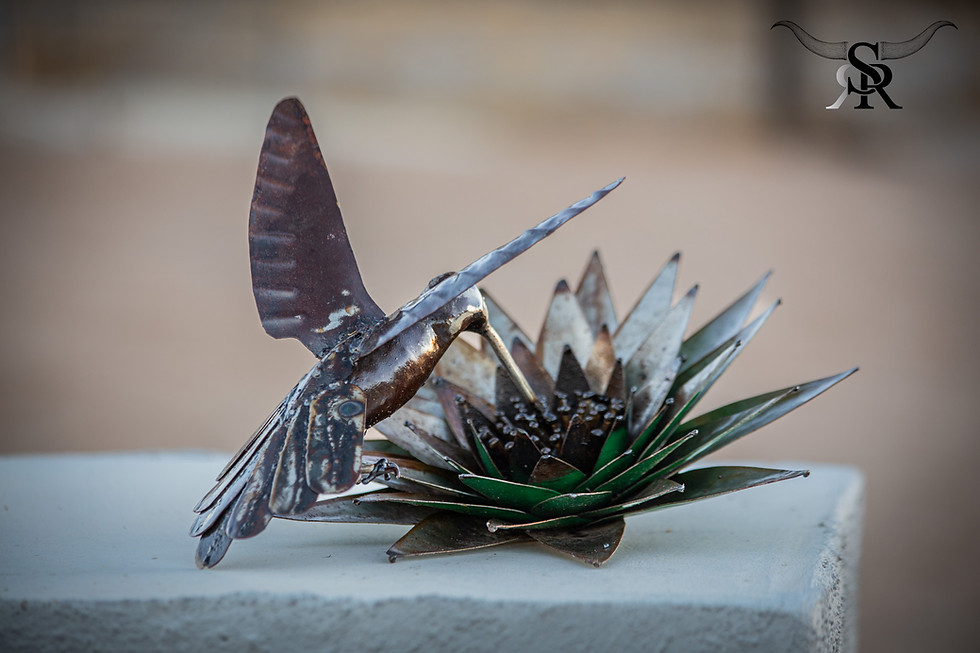 Thumbnail: HUMMINGBIRD FLOWER