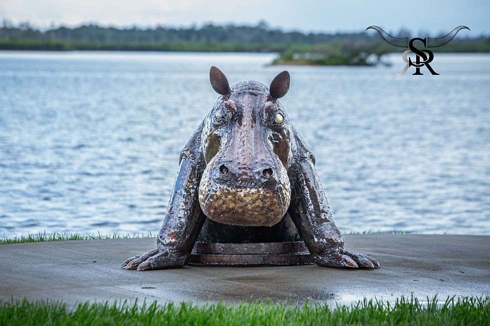 Thumbnail: HIPPO DRAIN
