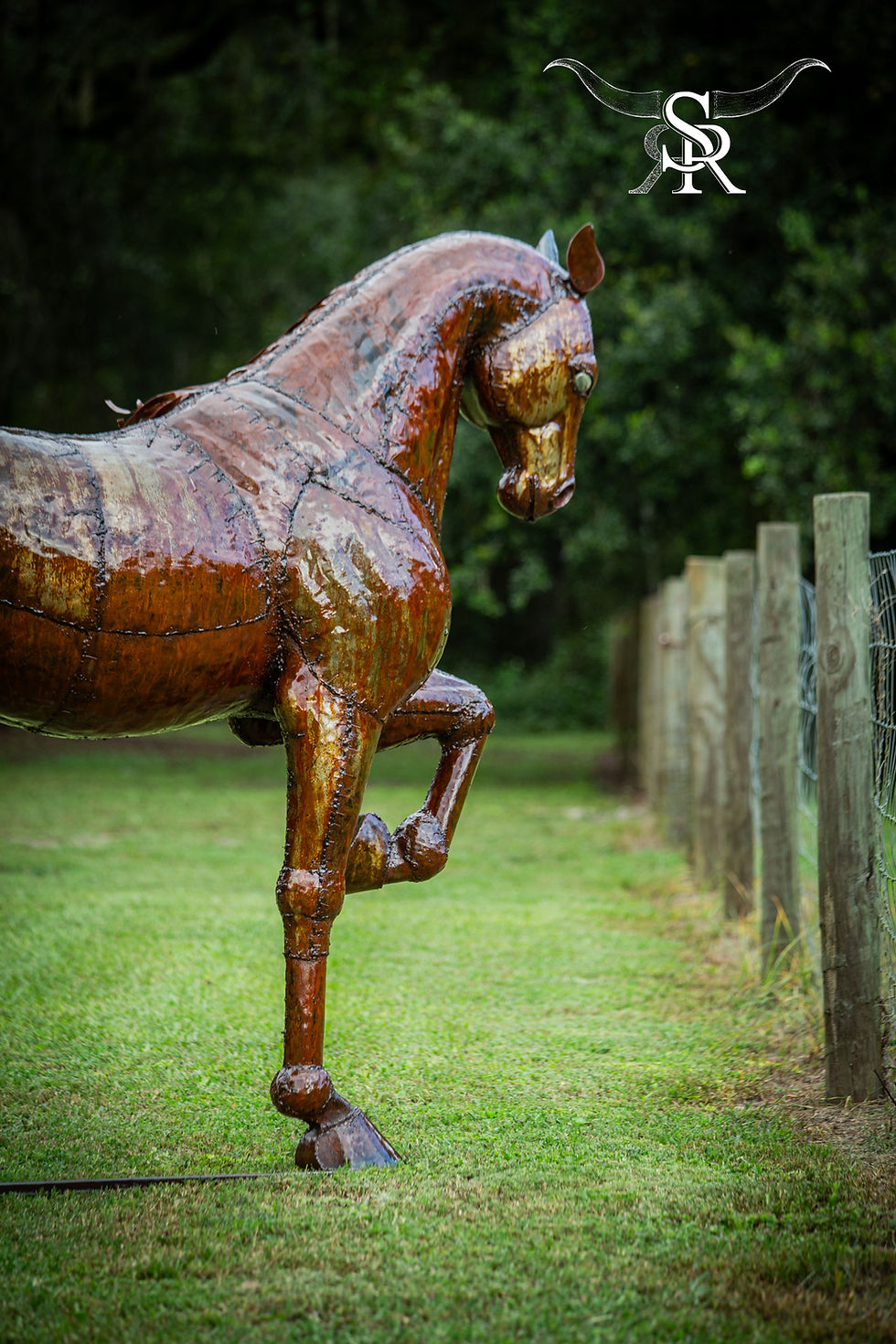Thumbnail: DRESSAGE HORSE