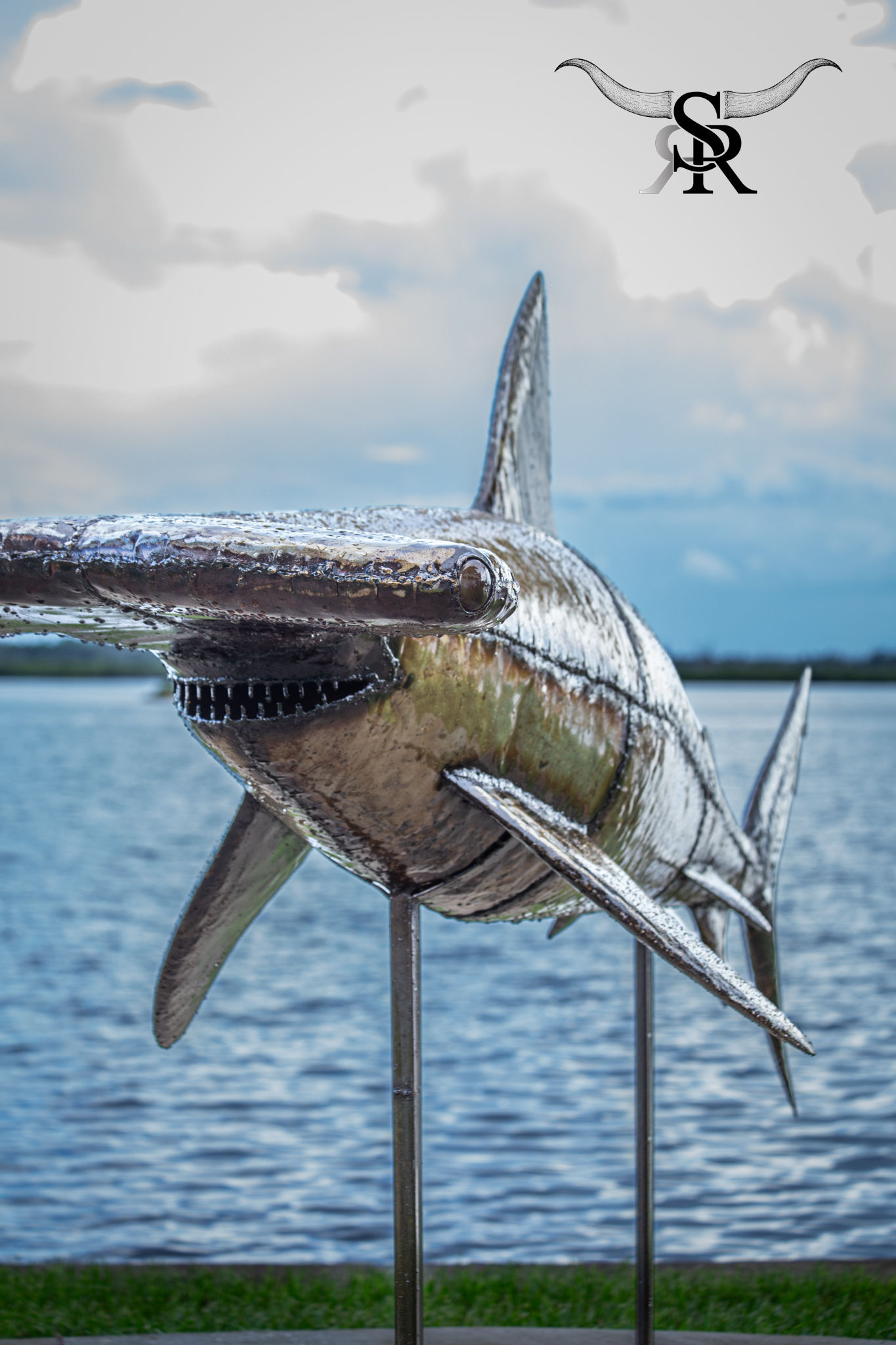 HAMMERHEAD SHARK