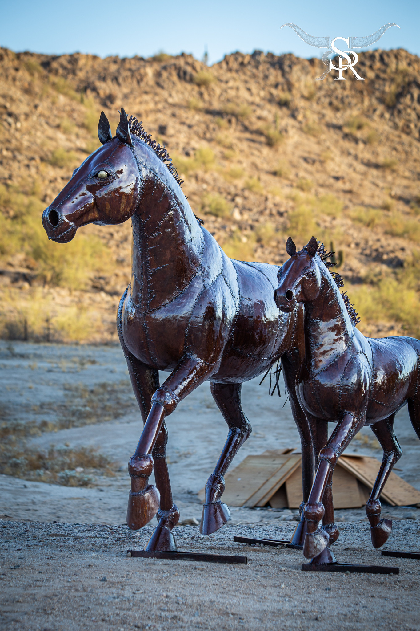 WALKING FOAL