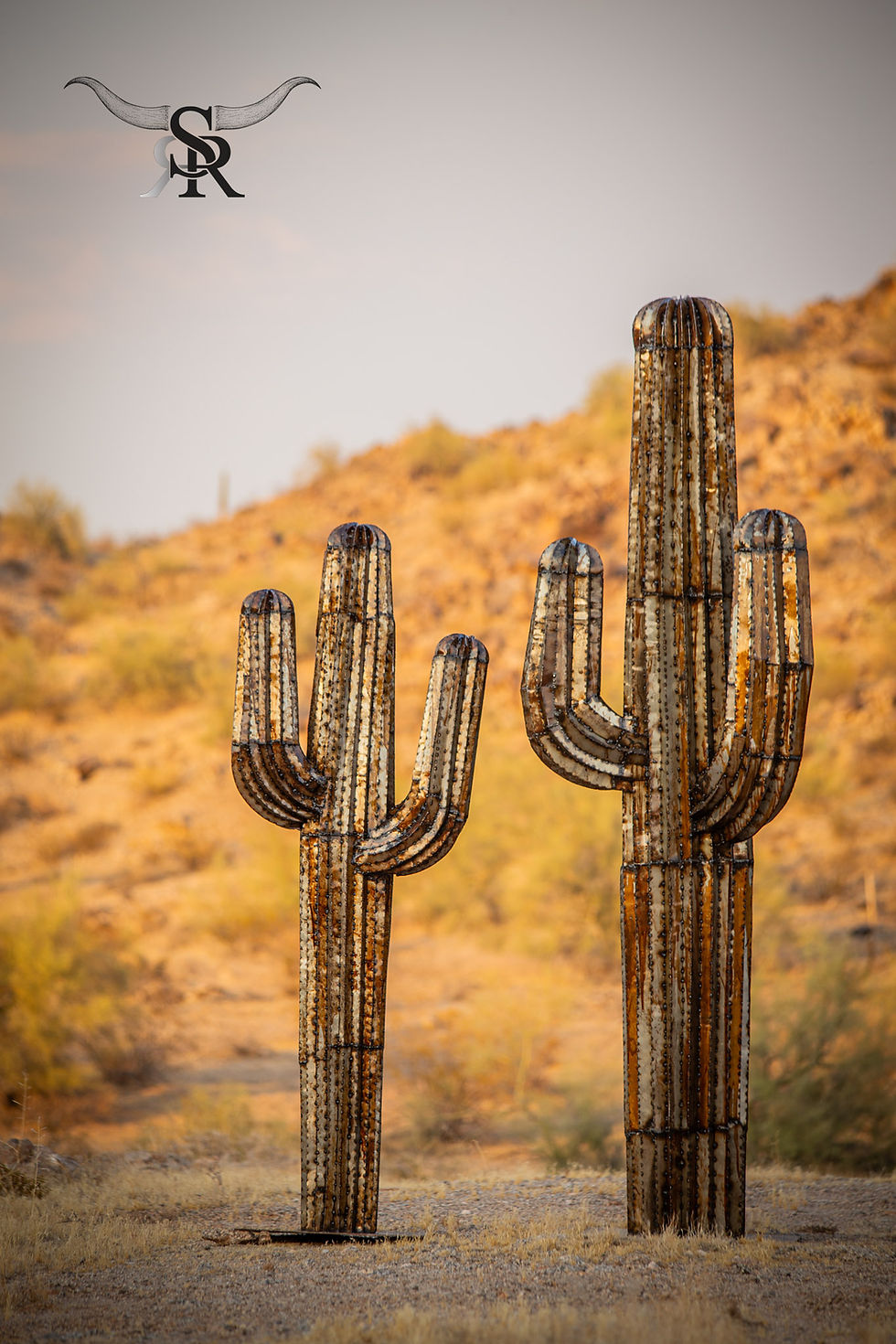 Thumbnail: SAGUARO CACTUS