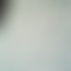 Discover Your Roots with Expert Genealogy Services