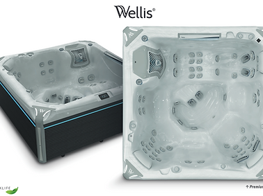 Wellis-Peakline-Kilimanjaro-Life.png