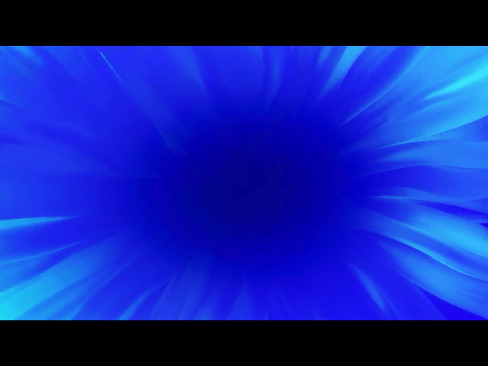 ScreenRecording_05-11-2026 18-50-00_1.MOV