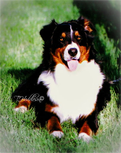 Moms Gorgeous Boy! 4-07 (1).jpg