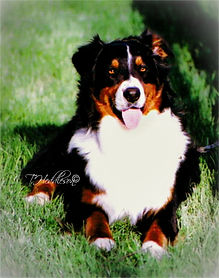 Moms Gorgeous Boy! 4-07 (1).jpg