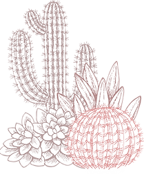 cactées