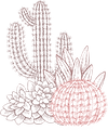 Cactuses
