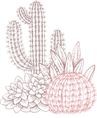 Cactuses
