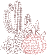 Cactuses