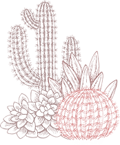 Cactuses     