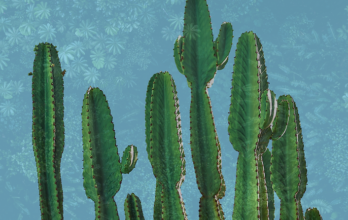 sebastien-noel-i0tLUaCA8Ec-unsplash-vert