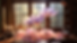 Hero_lotus-on-desk_2560x.png
