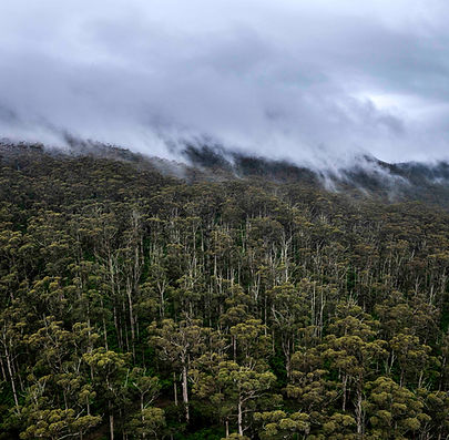 Porongurup mountain range Western Australia