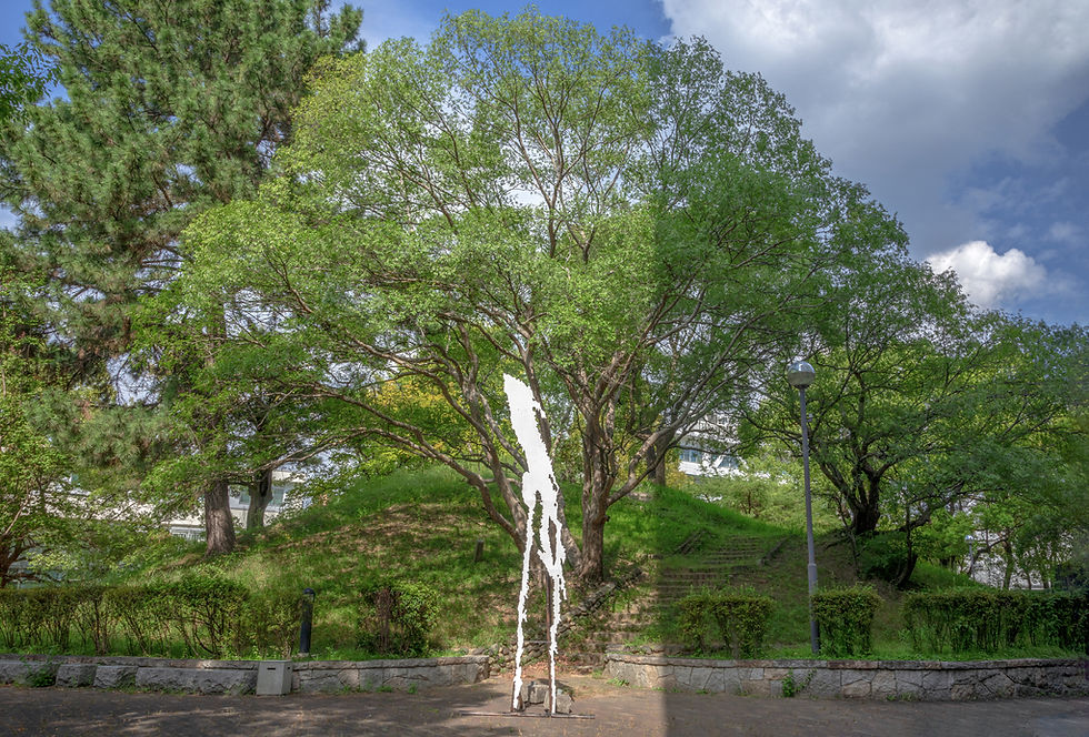 Blank Sign "Osugi Tumulus" 