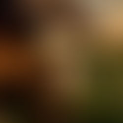 No More Average — How to Make Your Project Stand Out in a Crowded Global Market