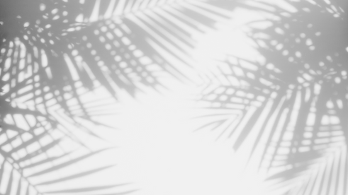 Ilona SMM Services 2025 (1).png