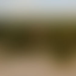 The Tulum Index: The Early Signals That Turn Unknown Places Into Global Investment Destinations