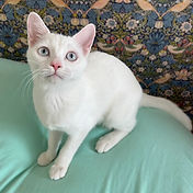 IMG_6156 2_edited.jpg