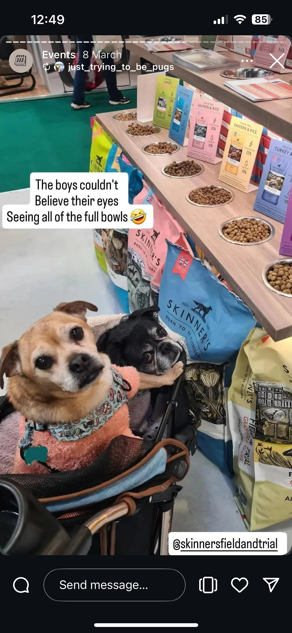 Skinner's at Crufts 2025