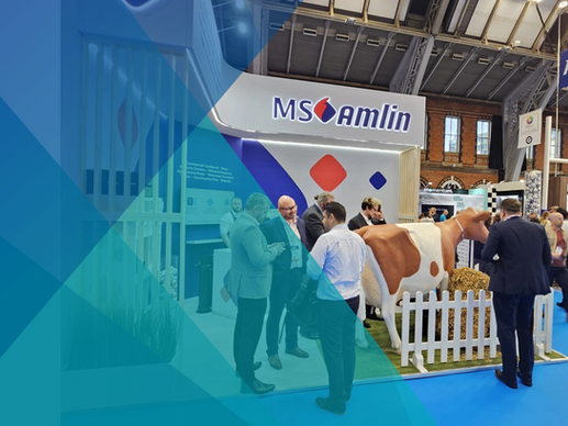 An exhibition stand for MS Amlin, with a life sized milkable cow standing at the front.