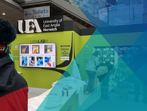 UEA's bright green exhibition stand at Norwich Science Festival. People stare into the bubblewrap shaped mirrors, and there is a TV screen underneath a label saying "LittleLab"