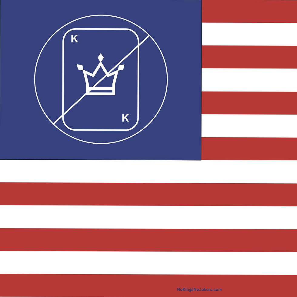 No Kings Flag