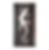 Gecko hanging wall decor on dark wood panel