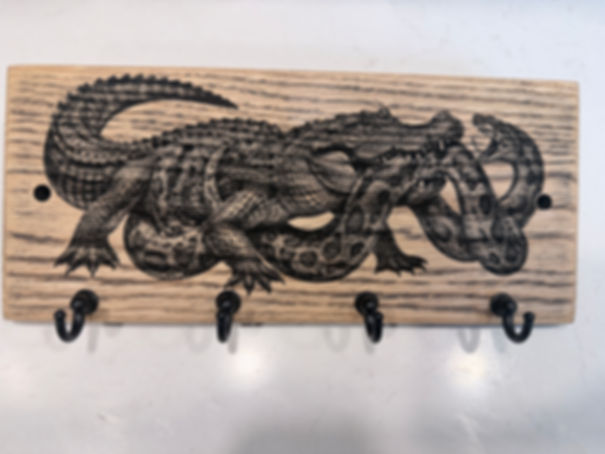 Alligator and Boa Constrictor Wall-Mounted Key Hanger Organizer