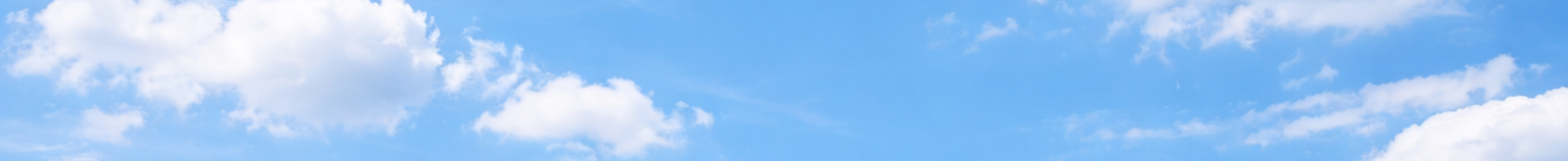 Header Background.png