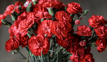 Design sem nome (6).png