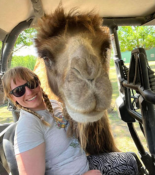 camel 1.jpeg