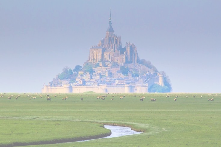 descarga (5)_edited.png