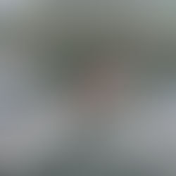 Ottimi segnali dalla Lake Lugano Rowing per il Club Canottieri Lugano