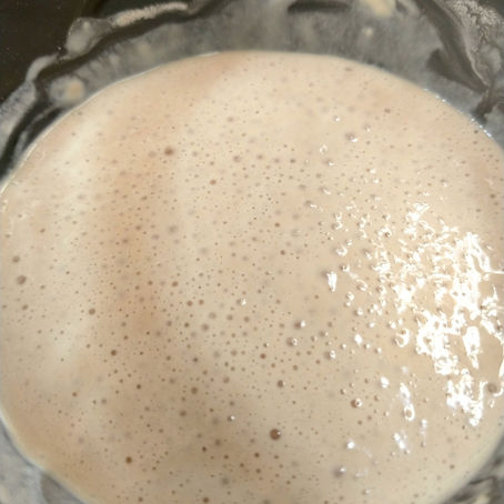 ESPONJA PARA PÃES