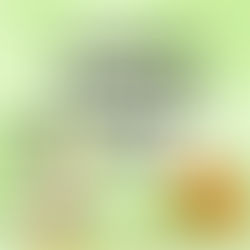 LOVEBIRD/COCKTAIL FEED IN SUMMER & WINTER