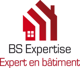 BS EXPERTISE LOGO.png